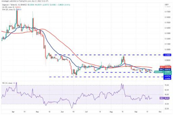 狗狗币今日最新价格 DOGE价格走势图-第3张图片-芝麻交易所下载